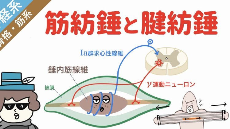 申花外援盖伊跟腱断裂，需手术