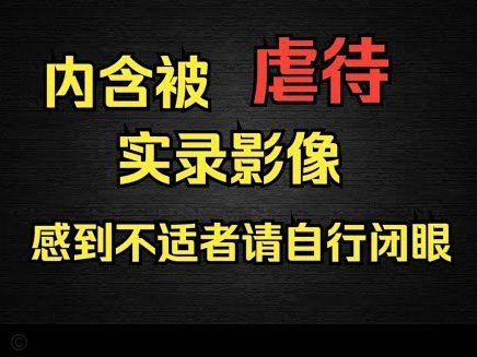 尤文瞄准维卡里奥 大马丁迈尼昂在列