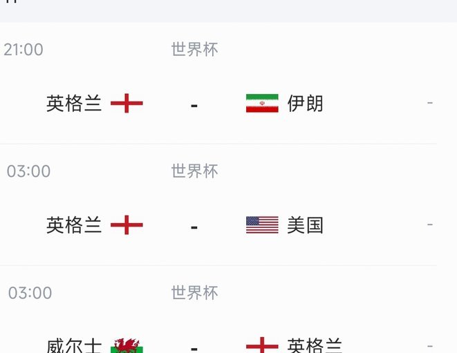 三狮球迷拿积蓄带祖父看世界杯，一企业得知后全额报销花费