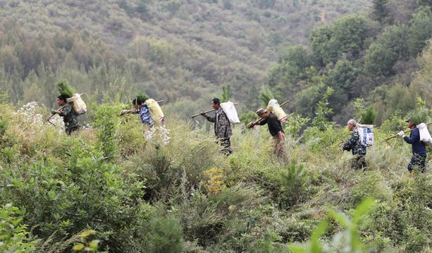 官方：曼联已就签下20岁门将马杰特森达成协议